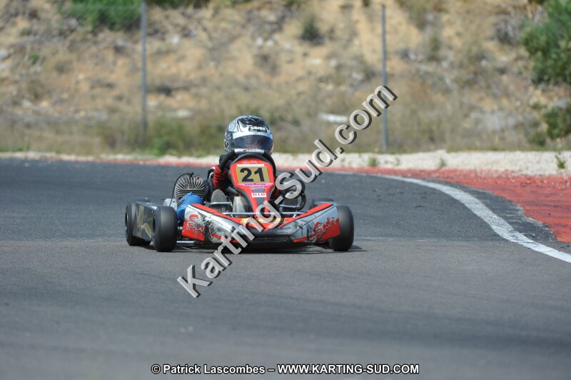 DSC (3133).JPG